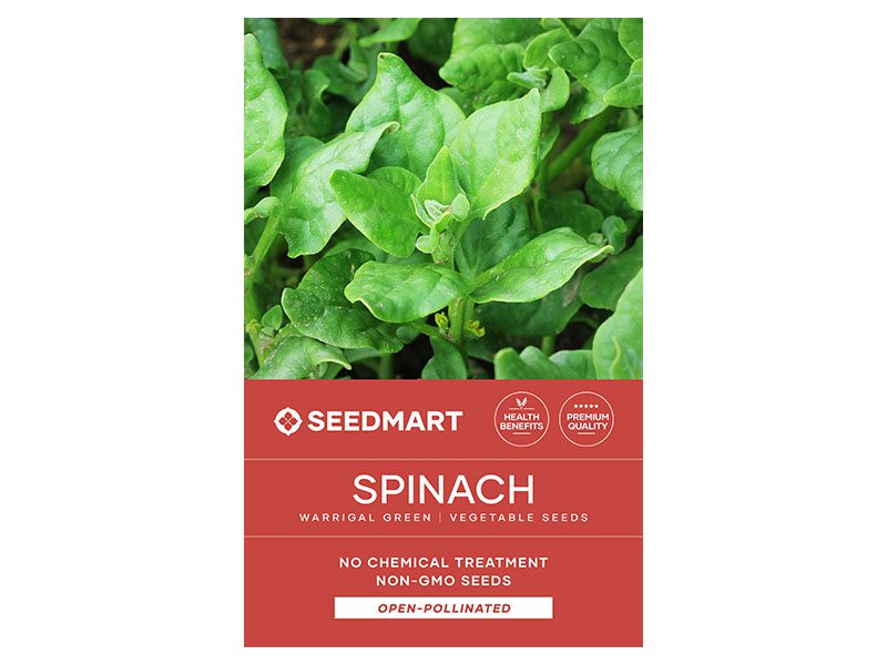 Spinach Warrigal Green Vegetable Seeds | Non-GMO & No Chemical Treatment