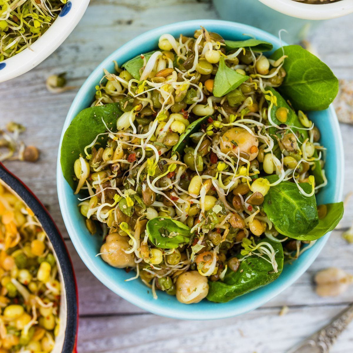 Bowl of sprouts and salad in blue bowl, white wood background