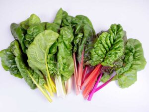 Rainbow Chard Silverbeet