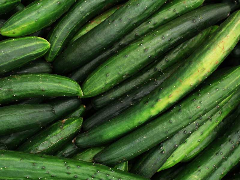 Cucumbers