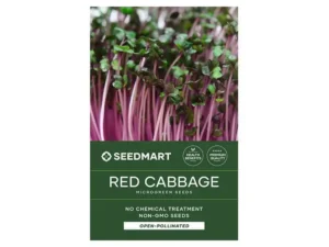 red_cabbage_microgreens_seeds-800x600px-2