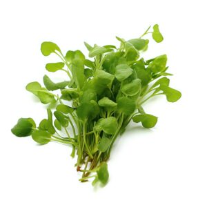 Cress American Upland Seeds