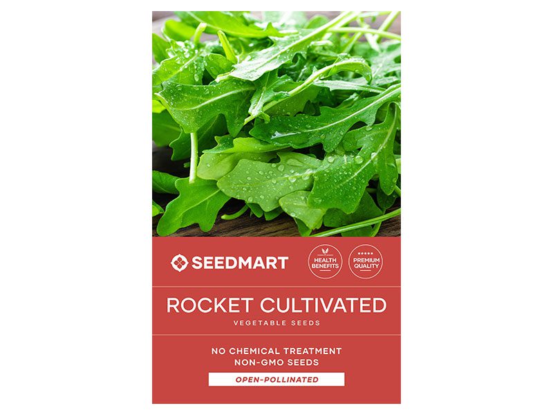 Rocket Vegetable Seeds | Bulk | Grow Microgreens or Baby Leaf