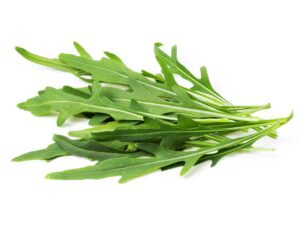 Wild Rocket Sylvetta Vegetable Seeds | Seedmart