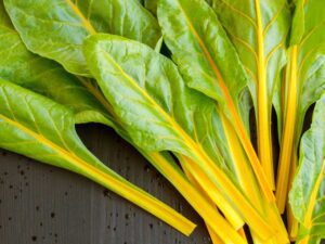 Silverbeet Golden Sunrise Vegetable Seeds