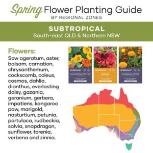 Flower Planting Guide for Spring | Subtropical | Seedmart