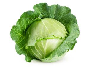 Cabbage Golden Acre Vegetable Seeds | Seedmart | Isolated