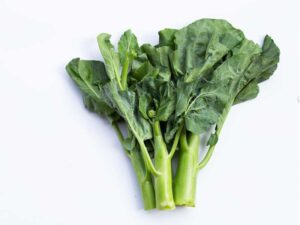 Chinese Broccoli Kailaan Vegetable Seeds | Seedmart Asia Pacific