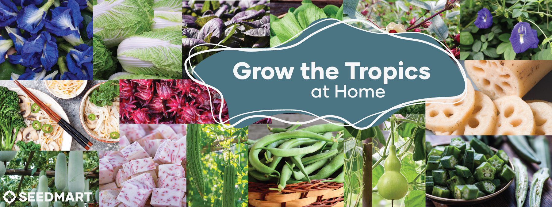 Website Banner | Grow the Tropics at Home | Seedmart