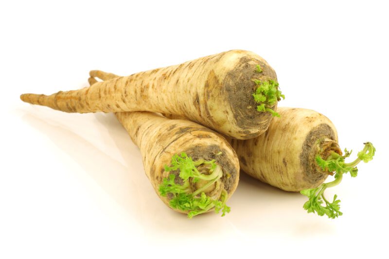 Parsley Hamburg Rooted Herb Seeds