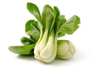 Cabbage Baby Bok Choy Vegetable Seeds