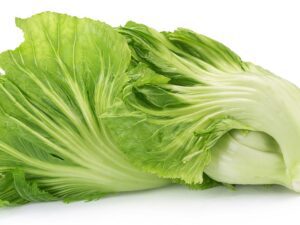 Chinese Mustard Gai Choy Vegetable Seeds