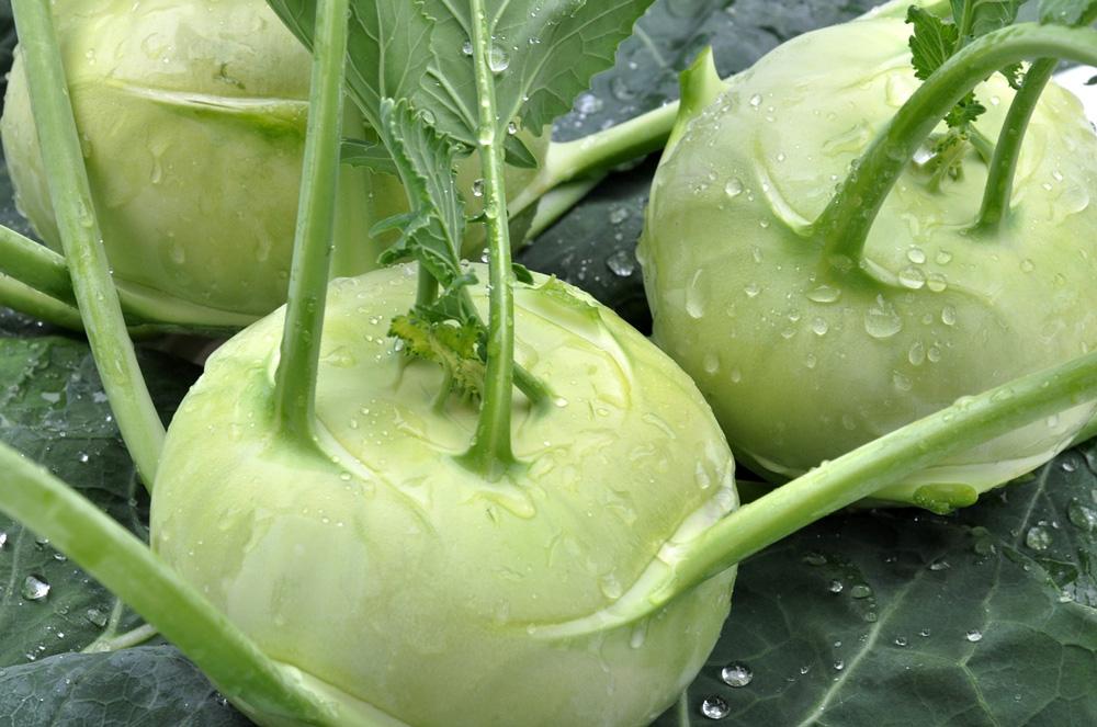 Kohlrabi White Vienna Vegetable Seeds - Image 2