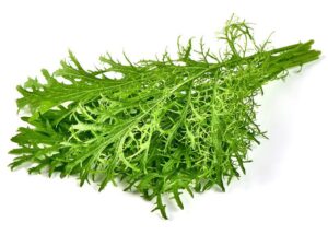 Mustard Lime Streaks Vegetable Seeds