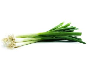Green Bunching Onion Seeds