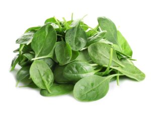 Spinach Baby Leaf Vegetable Seeds
