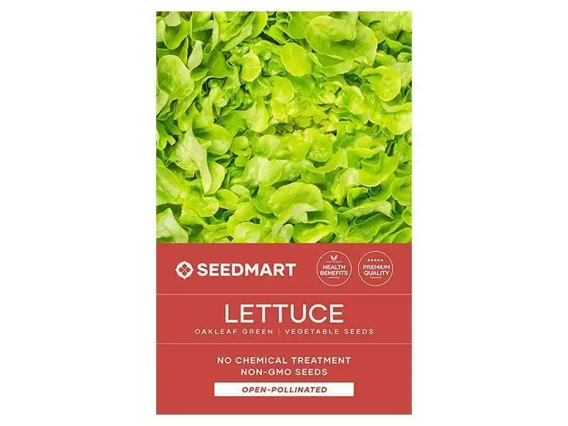Lettuce-Oakleaf-Green-800x600px