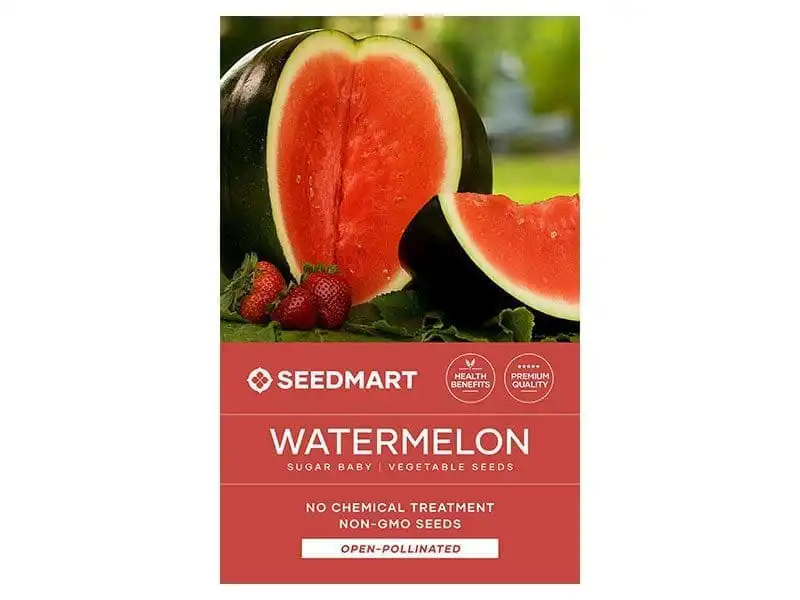 Watermelon-Sugar-Baby