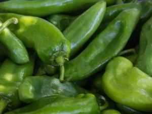anaheim-chilli