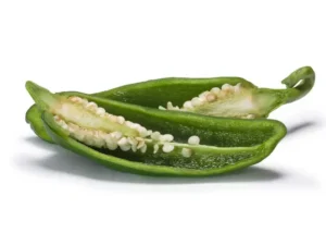chilli_anaheim_isolated