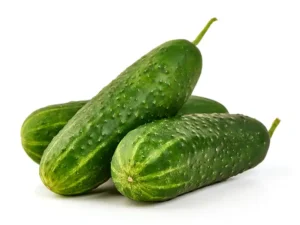 cucumber-sumter-seeds-seedmart-australia-singapor