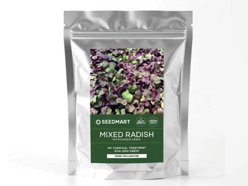 Colour Mix Radish Microgreen Seeds - Image 2