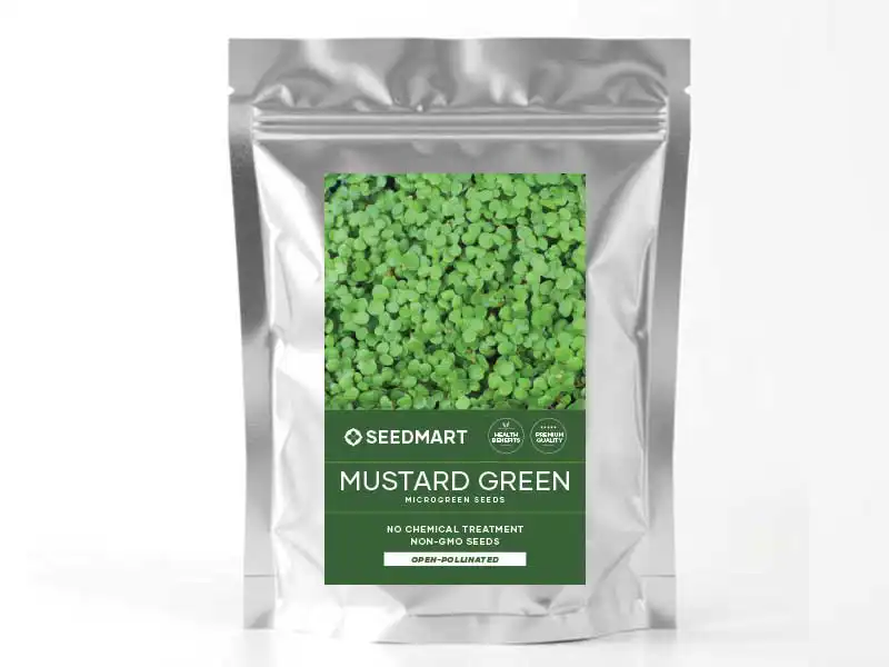 Green Mustard Microgreen Seeds - Image 2