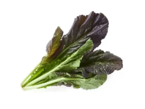 mustard-purple-leaf-vegetable-seeds