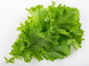 mustard-southern-giant-curled-seeds-seedmart-australia-isolated