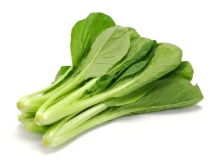 mustard-spinach-komatsuna-tendergreen-seeds-isolated-seedmart-australia-singapore.