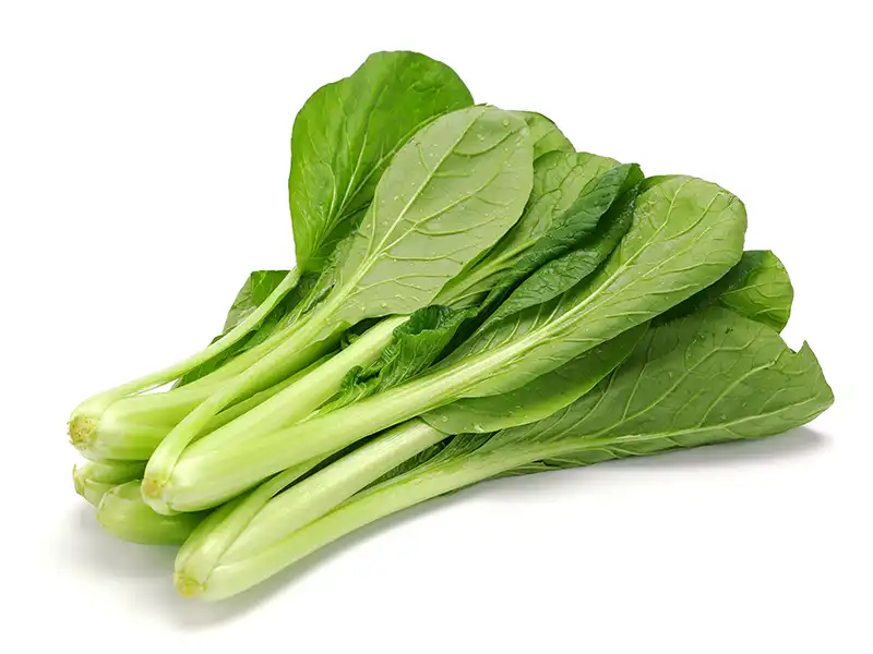 mustard-spinach-komatsuna-tendergreen-seeds-isolated-seedmart-australia-singapore.