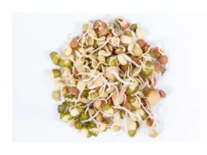 protein_mix_sprouting_seeds