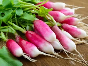 radish_french_breakfast