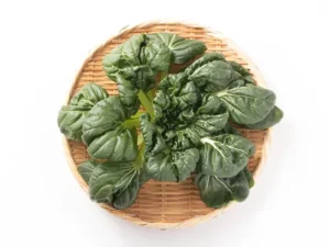 tatsoi-black-knight-seeds-isolated-seedmart-australia-singapore.