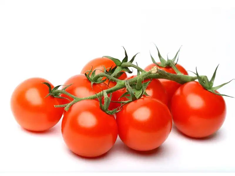 tomato-Garden-Delight-Seedmart-Australia-scaled-