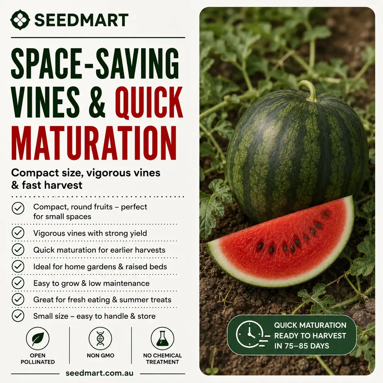 Watermelon Sugar Baby Vegetable Seeds - Image 5