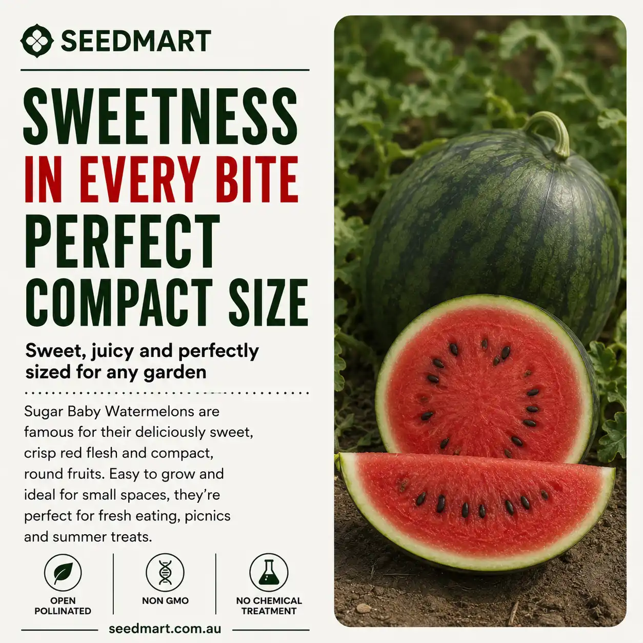 Watermelon Sugar Baby Vegetable Seeds - Image 4