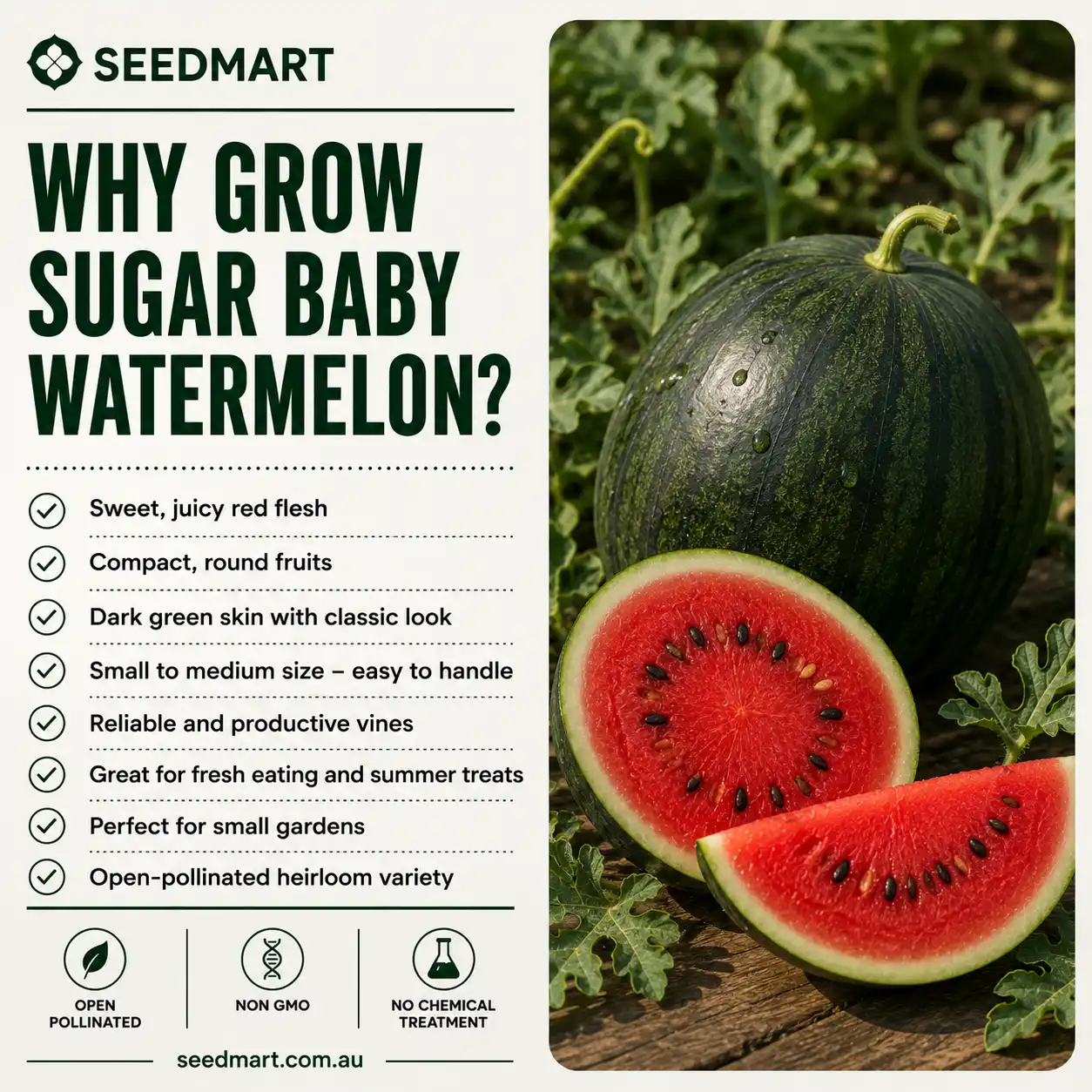 Watermelon Sugar Baby Vegetable Seeds - Image 6